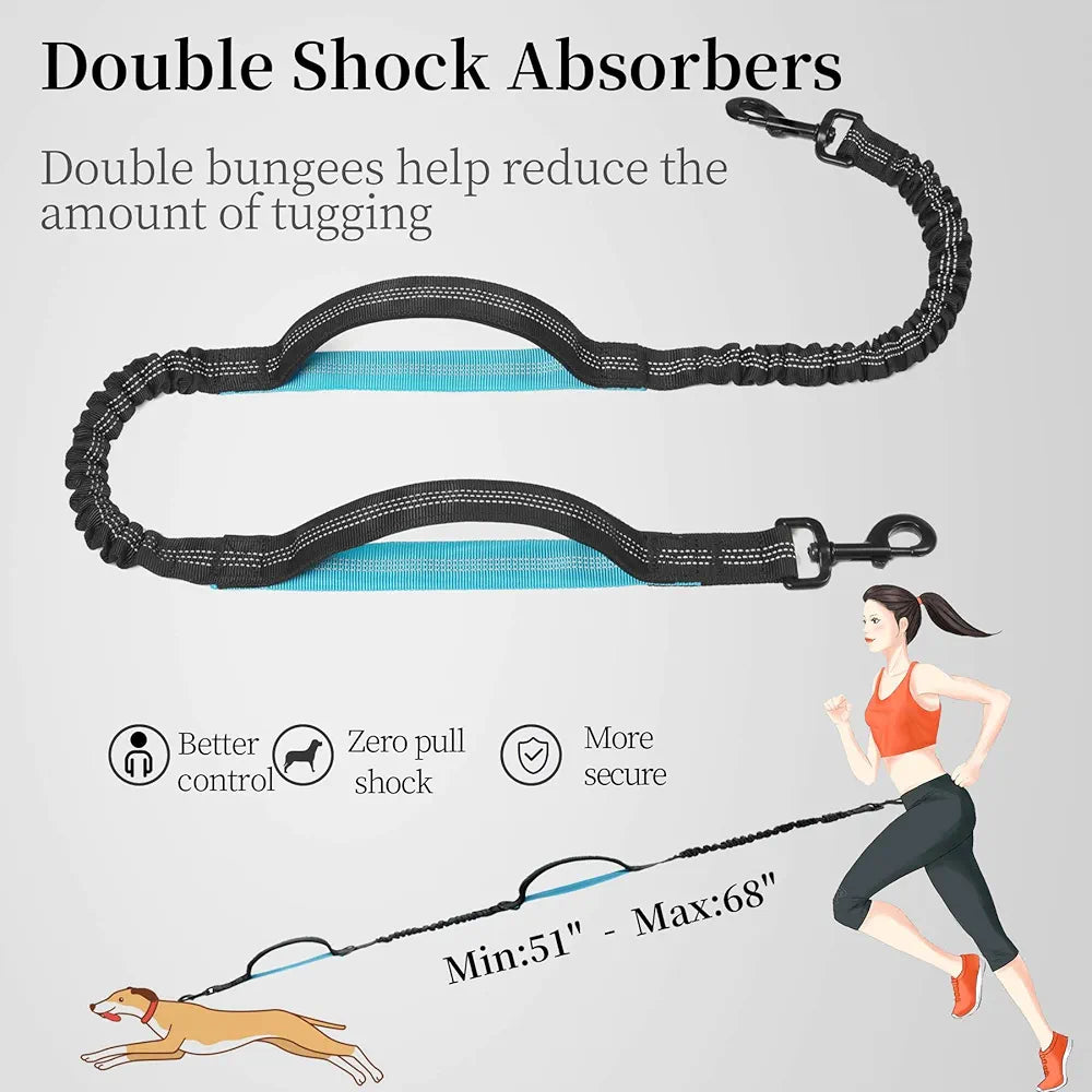 Hands Free Dog Leash with Zipper Pouch, Dual Padded Handles and Durable Bungee for Walking, Jogging and Running