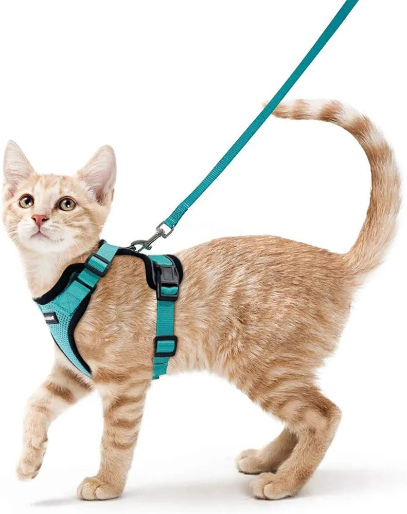 Cat Harness and Leash for Walking, Escape Proof Soft Adjustable Vest Harnesses for Cats, Easy Control Breathable Reflective Strips Jacket, Emerald, XS