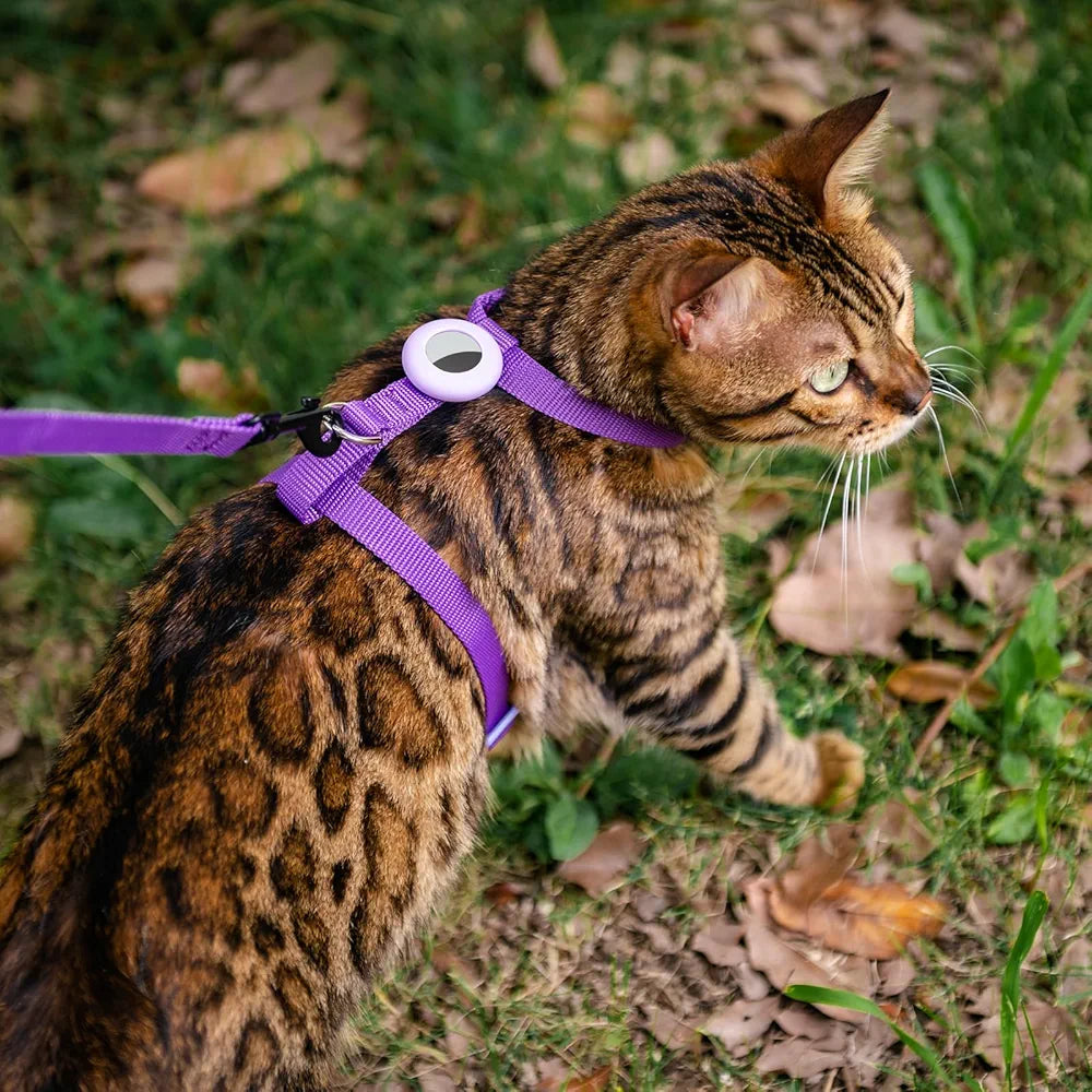 Cat Harness and Leash for Walking, Escape Proof Soft Adjustable Vest Harnesses for Cats, Easy Control Breathable Reflective Strips Jacket, Emerald, XS