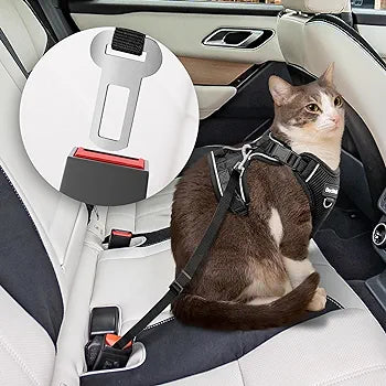 Cat Harness and Leash for Walking, Adjusted in Four Directions and Breathable Cat Harness for Anti Escape That can be Fitted and Positioned, Reflective Strips Harness, Black