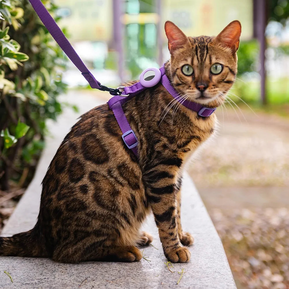 Cat Harness and Leash for Walking, Escape Proof Soft Adjustable Vest Harnesses for Cats, Easy Control Breathable Reflective Strips Jacket, Emerald, XS