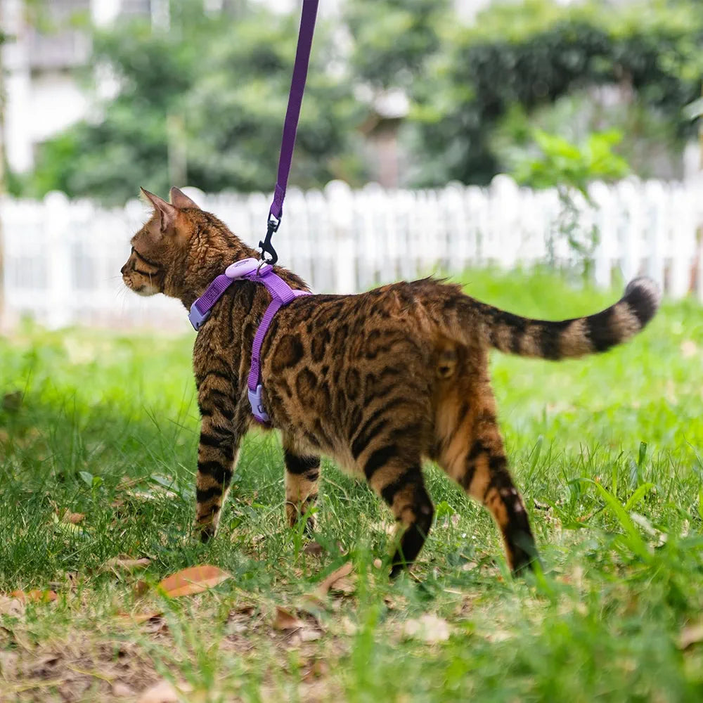 Cat Harness and Leash for Walking, Escape Proof Soft Adjustable Vest Harnesses for Cats, Easy Control Breathable Reflective Strips Jacket, Emerald, XS