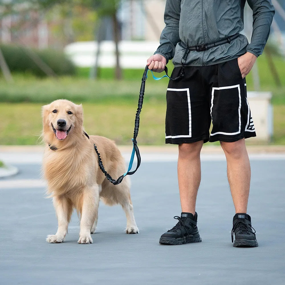 Hands Free Dog Leash with Zipper Pouch, Dual Padded Handles and Durable Bungee for Walking, Jogging and Running